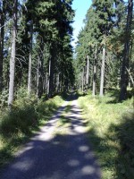 /album/leto/paseky-n-jiz-leto-14-jpg/